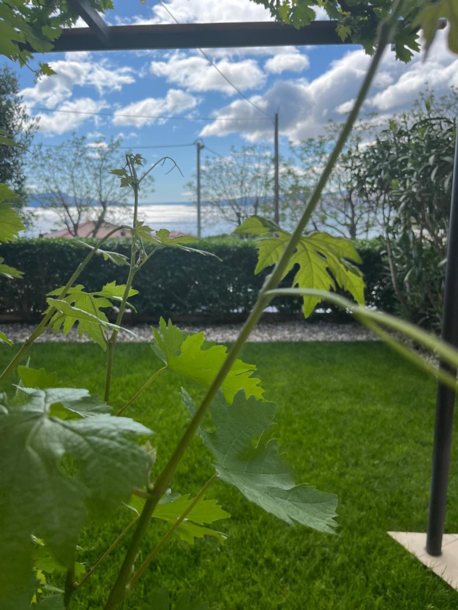 Apartman Mia Сень Екстер'єр фото